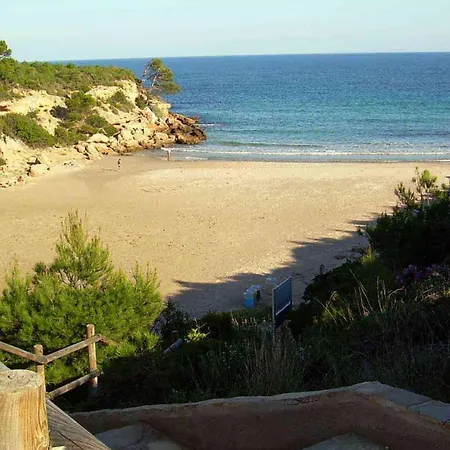 Alosas 8 Apartment Calafat